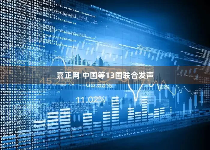嘉正网 中国等13国联合发声