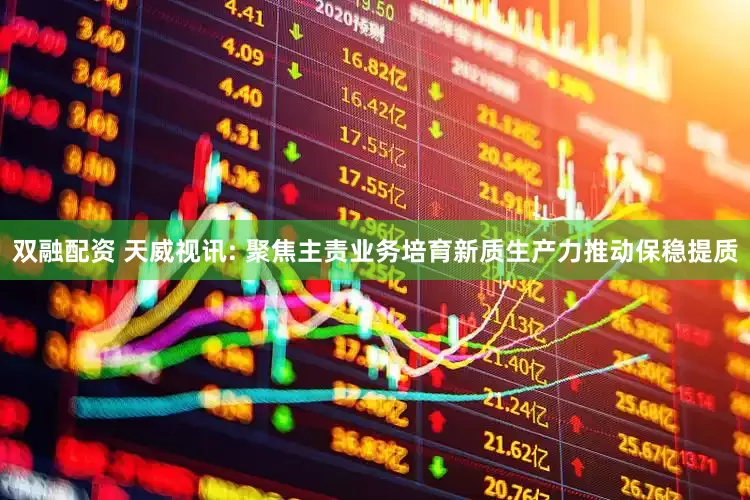 双融配资 天威视讯: 聚焦主责业务培育新质生产力推动保稳提质